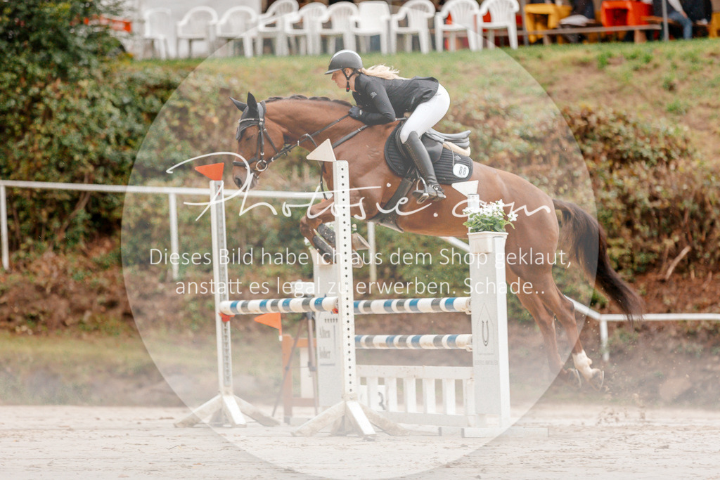 3I6A5716 | Stimmungsvolle Portraits und Reitsportfotografie im Ruhrgebiet und im Münsterland.

Pferdefotografie, Hundefotografie, Tierfotografie, Reportagen, Portraits von Tier und Mensch, Turnierfotografie in Bochum, Recklinghausen, Marl, Haltern am See, Dülmen.. - Realisiert mit Pictrs.com