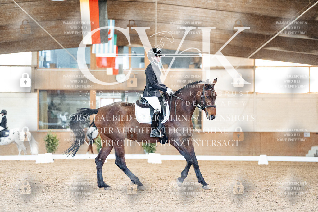 CK908844 | Turnierfotografie Pferdefotografie Trier Rheinland-Pfalz Pferdesport Reitsport Tierfotografie Sportfotografie Pferdevideo Pferdevideografie Equestrianvideography equestrianphotography  - Realisiert mit Pictrs.com
