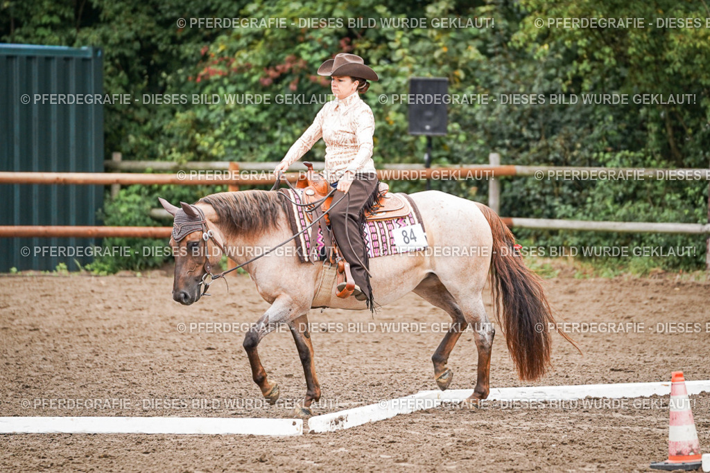 DSC03091 | Pferdegrafie