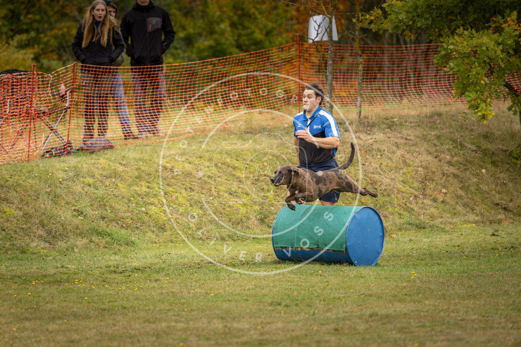 Pfotenfotografie_DV3A6008 | Hundefotografie, Tierfotograf, Pfotenfotografie, Fotoshooting Hund, Hunde Portrait, Hundesport, Hundeportraits, Heideshooting, Hunde, Sportfotograf, Hundefotograf, Turnierhundsport, THS,  - Realisiert mit Pictrs.com