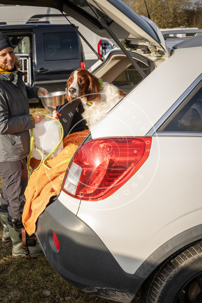 0L8A9338 | Hundefotografie, Tierfotograf, Pfotenfotografie, Fotoshooting Hund, Hunde Portrait, Hundesport, Hundeportraits, Heideshooting, Hunde, Sportfotograf, Hundefotograf, Turnierhundsport, THS,  - Realisiert mit Pictrs.com