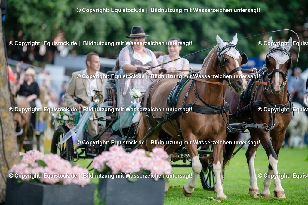 20250606_Lange-Pferdenacht_0099 | Foto: Thomas Hartig