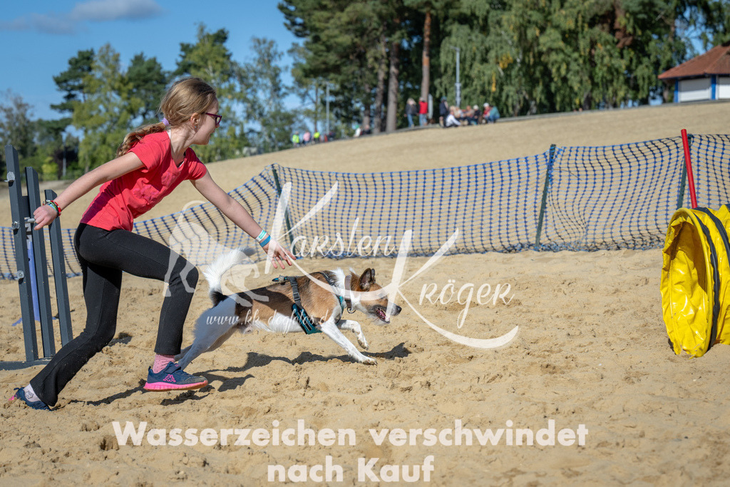 1226_ZZ93102-2 | kk-dogfotos