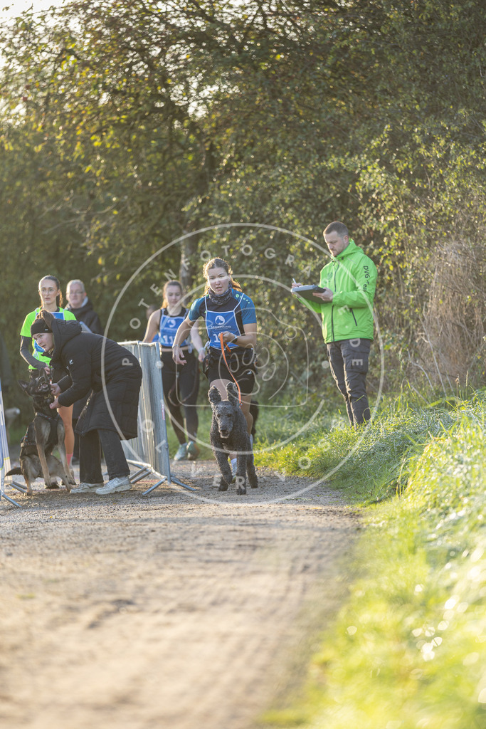 Pfotenfotografie.de_DV3A2420 | Hundefotografie, Tierfotograf, Pfotenfotografie, Fotoshooting Hund, Hunde Portrait, Hundesport, Hundeportraits, Heideshooting, Hunde, Sportfotograf, Hundefotograf, Turnierhundsport, THS, canicross - Realisiert mit Pictrs.com