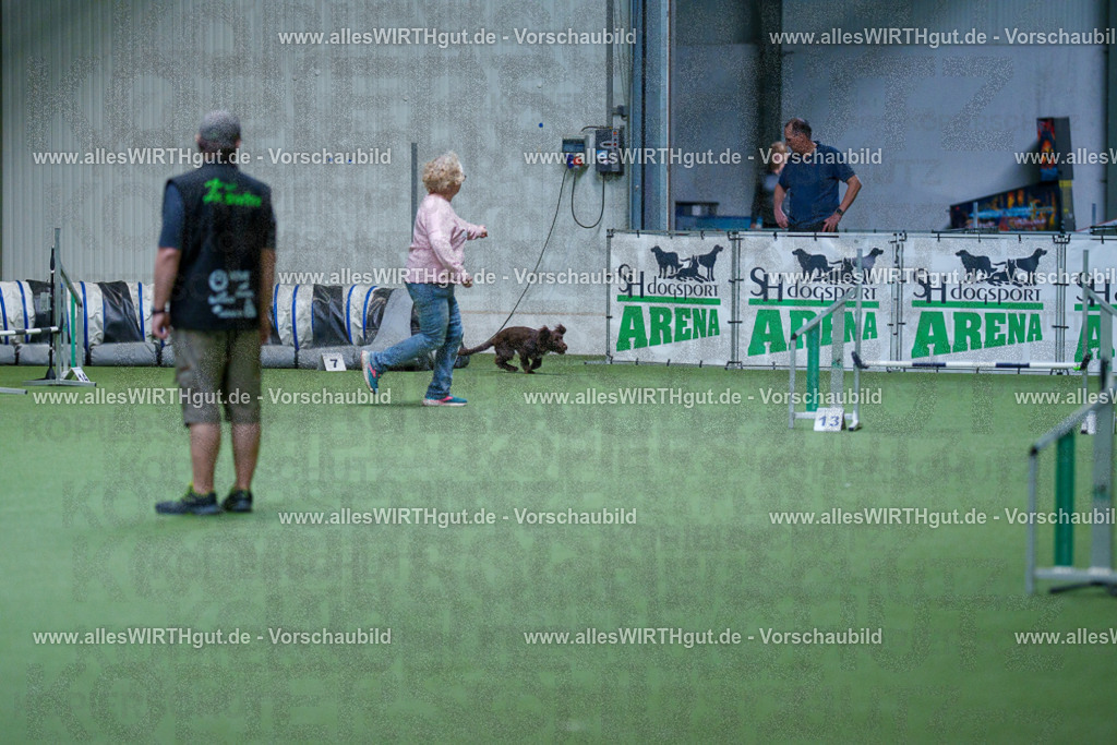 @allesWIRTHgut_Tierfotografie - www.allesWIRTHgut.de - 2604260804-7R506579 | Professionelle Tierfotografie in Mönchengladbach von Daniel Wirth (allesWIRTHgut). Liebevolle & natürliche Bilder von Hunden & Katzen für unvergessliche Erinnerungen.