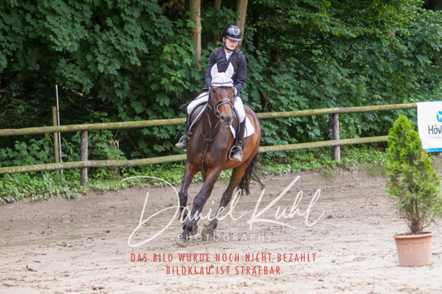 DKP44776 | Turniersportfotografie; Pferdefotografie; Dressurfotografie