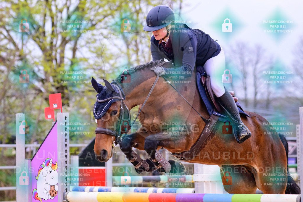 10042026-Mammendorf-Prfg17-0577 | Fokus Hufschlag Fotografie - Realisiert mit Pictrs.com