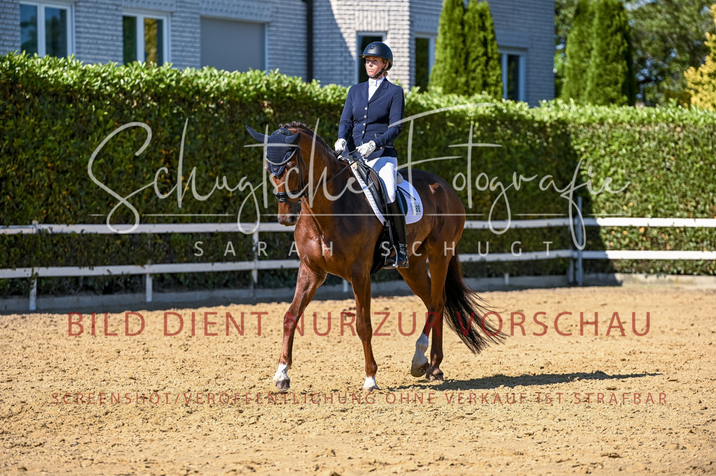 Schugtsche-Aluta25-50.Dressurpferdeprf.L-211 | Schugtsche Fotografie - Realisiert mit Pictrs.com