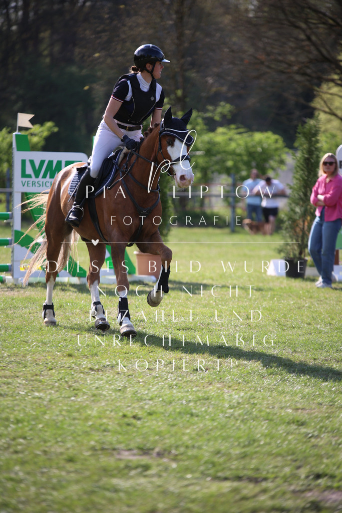 IMGT9317 | pl-fotografie