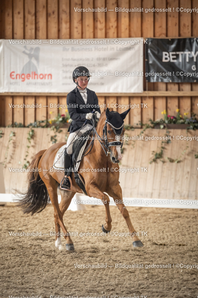 _D5A6134 | Emotionale Pferde- & People-Fotografie rund um Heidelberg, Leimen & Umgebung. Natürliche Fotos von Pferd, Mensch & Familie. Jetzt Termin sichern!