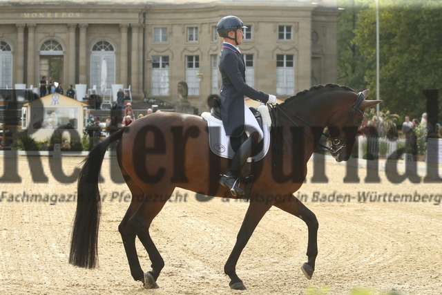 Ludwigsburg_2022_Prfg.Nr.03_FEI Grand Prix_Benjamin Ebeling_Indeed (8) | Alle Fotos der Reiterjournal Fotografin Doris Matthaes im Reiterjournal Online-Fotoshop. - Realisiert mit Pictrs.com