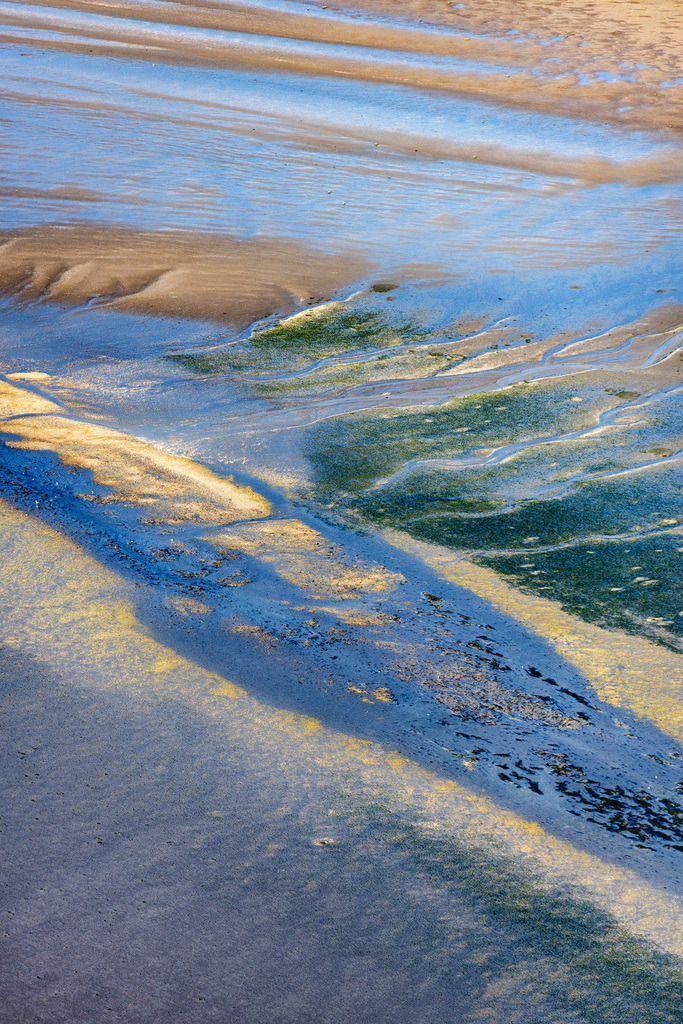 dr__0057077.jpg | SANKT PETER-ORDING 18.09.2020 Sandbank- Landfläche in der Meeres- Wasseroberfläche der Nordsee in Tating im Bundesland Schleswig-Holstein. // Sandbank- forest area in the sea water surface of North Sea in Tating in the state Schleswig-Holstein. Foto: Daniel Reiter