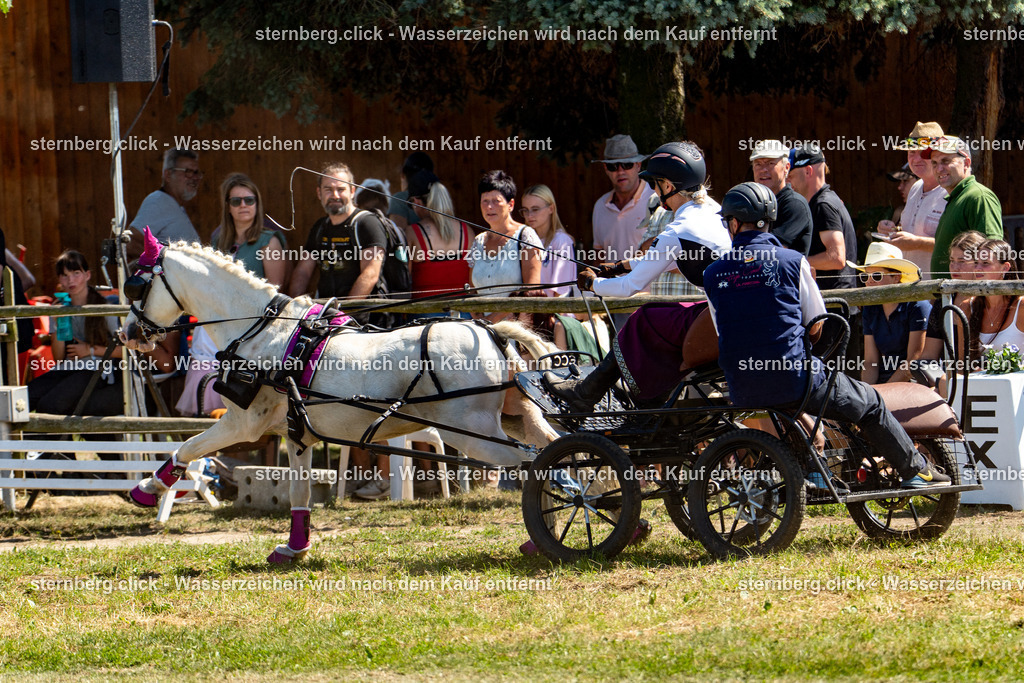 2026-08-09_11-44-24_WBO_Pulsnitz | sternberg.click - Realisiert mit Pictrs.com