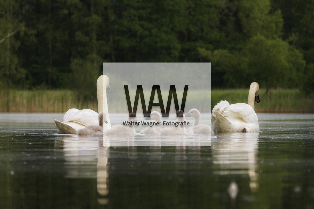 1000012059 | walter-wagner-fotografie
