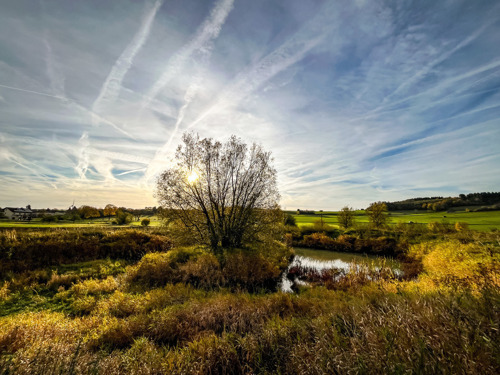 Teichinsel - Wenings | Das Leben ist ein ewiger Kreislauf. Im Frühling recken sich die Triebe. Im Sommer stehen sie im vollen Saft. Im Herbst zeigt sich der Farben Liebe und im Winter ruht die Blätterpracht. Jede Jahreszeit ist in sich ein Kunstwerk, dass wir Tag für Tag aufs Neue erleben dürfen. Manchmal lohnt es sich, morgens hinauszugehen und noch vor dem Alltagsstart, die einzigartige Vielfalt der Natur in sich aufzunehmen. Unter den Herbstblättern versteckt wartet der feine Samen der Poesie auf den aufmerksamen Spaziergänger, der ihn zum Erblühen bringt. - Realisiert mit Pictrs.com