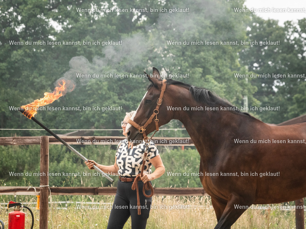 598A7968 | photographylinaismer - Realisiert mit Pictrs.com