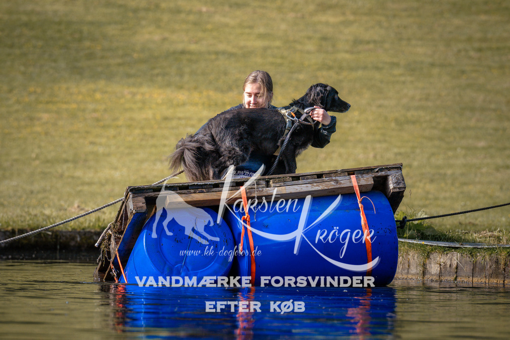 _ZZ947410719 | kk-dogfotos