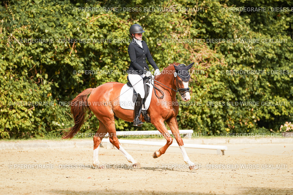 DSC03247 | Pferdegrafie