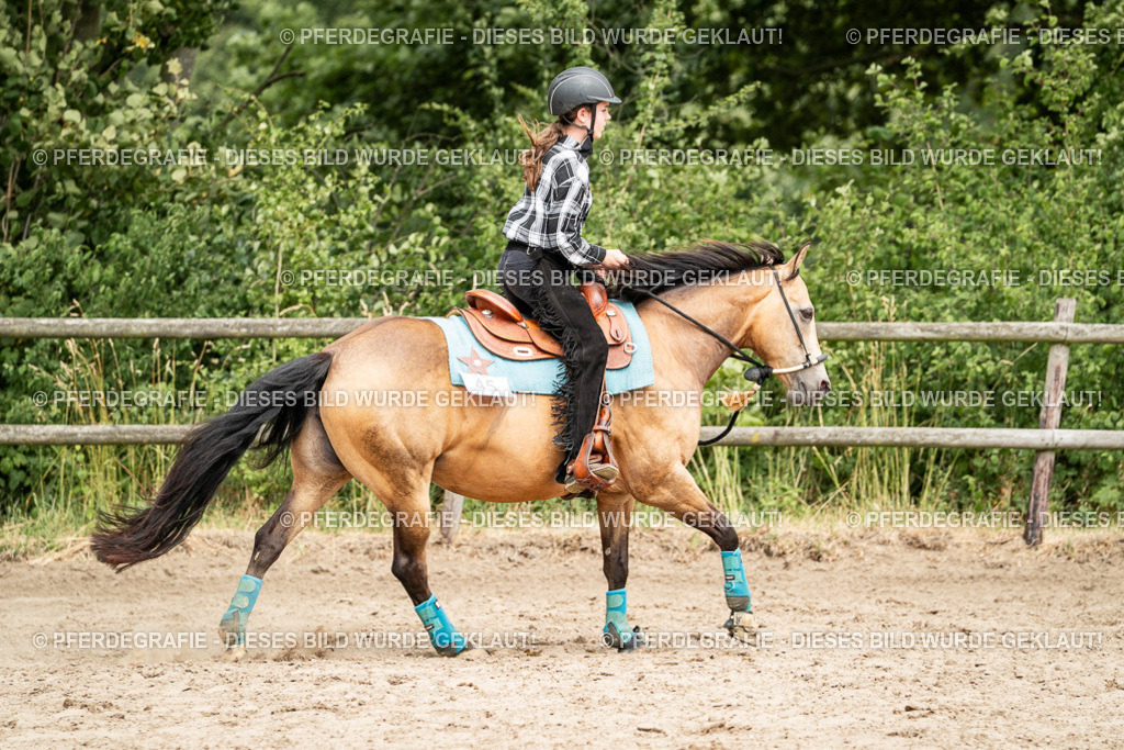 DSC01469 | Pferdegrafie