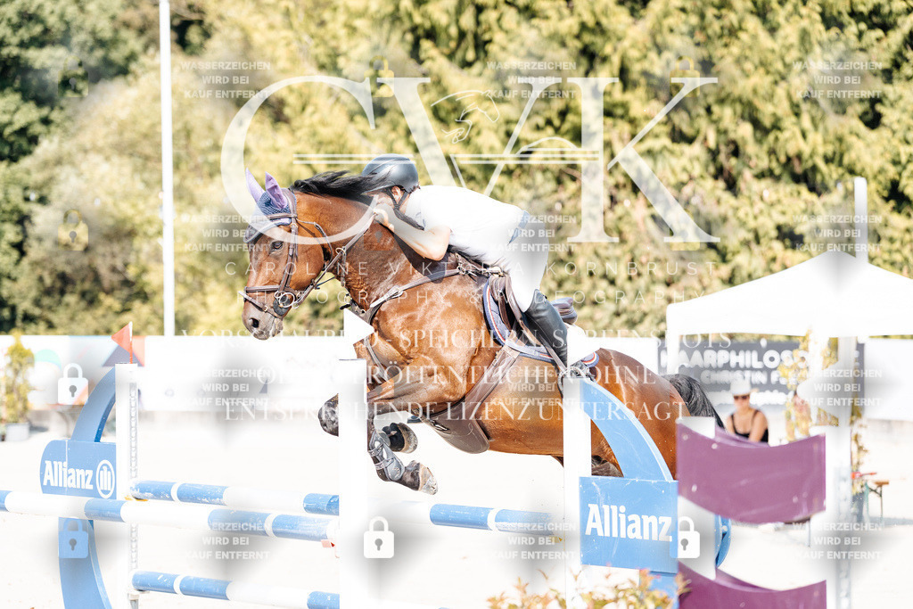 CK902159 | Turnierfotografie Pferdefotografie Trier Rheinland-Pfalz Pferdesport Reitsport Tierfotografie Sportfotografie Pferdevideo Pferdevideografie Equestrianvideography equestrianphotography  - Realisiert mit Pictrs.com