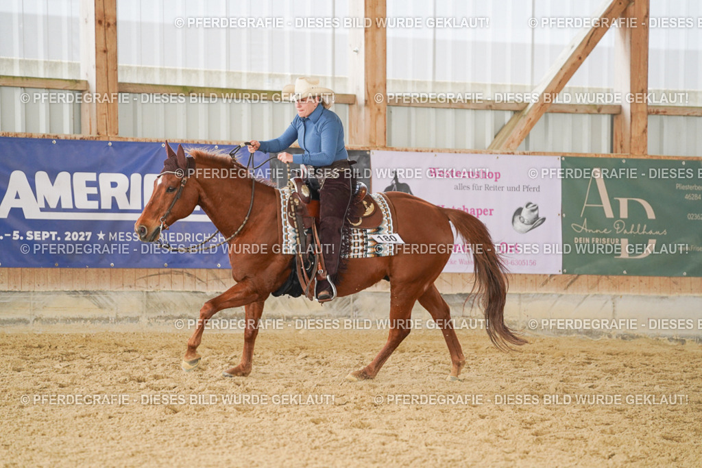 DSC01696 | Pferdegrafie