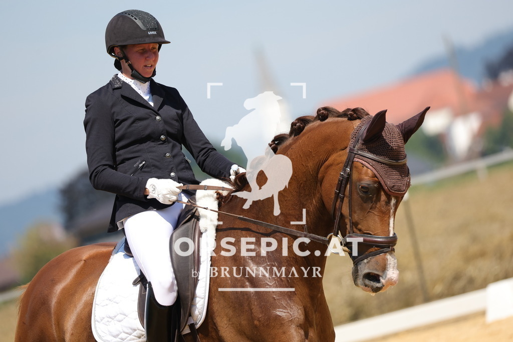 0P6A0600 | Willkommen bei Brunnmayr - Design & Fotografie – Ihrem Spezialisten für Reitturniere und Pferdeveranstaltungen in Oberösterreich, Salzburg und Bayern! Seit über 17 Jahren sind wir leidenschaftlich dabei.