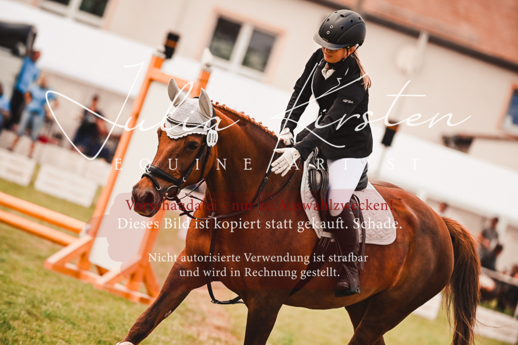 DSC_6887 | Pferde- und Turnierfotografie in Westsachsen. Pferdeportraits, Auftragszeichnungen und intuitive Kunst.