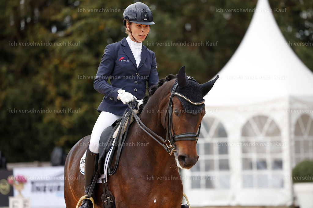 3-241-Dressur M_-StoibPH-2343 | working equitationturnier fotograf videograf stoibphotography marixx film working equitation deutschland reitsport turnierfotografie eventfotografie equestrian events