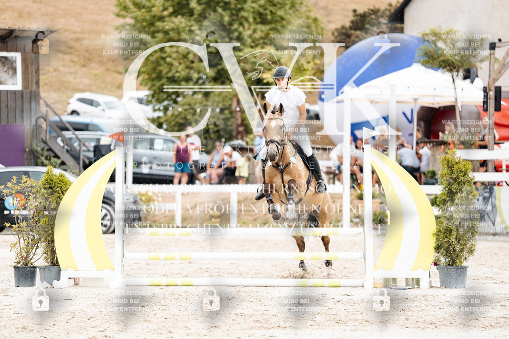 CK908723 | Turnierfotografie Pferdefotografie Trier Rheinland-Pfalz Pferdesport Reitsport Tierfotografie Sportfotografie Pferdevideo Pferdevideografie Equestrianvideography equestrianphotography  - Realisiert mit Pictrs.com