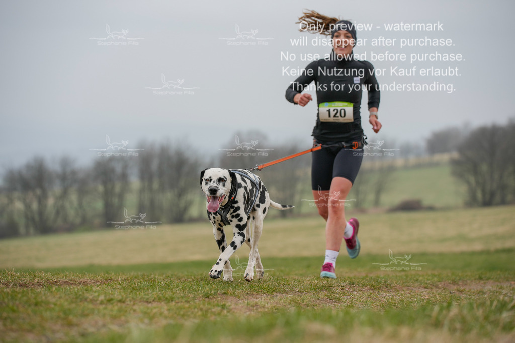 Canixlong-88 | stephaniefillaphotographie - Realisiert mit Pictrs.com