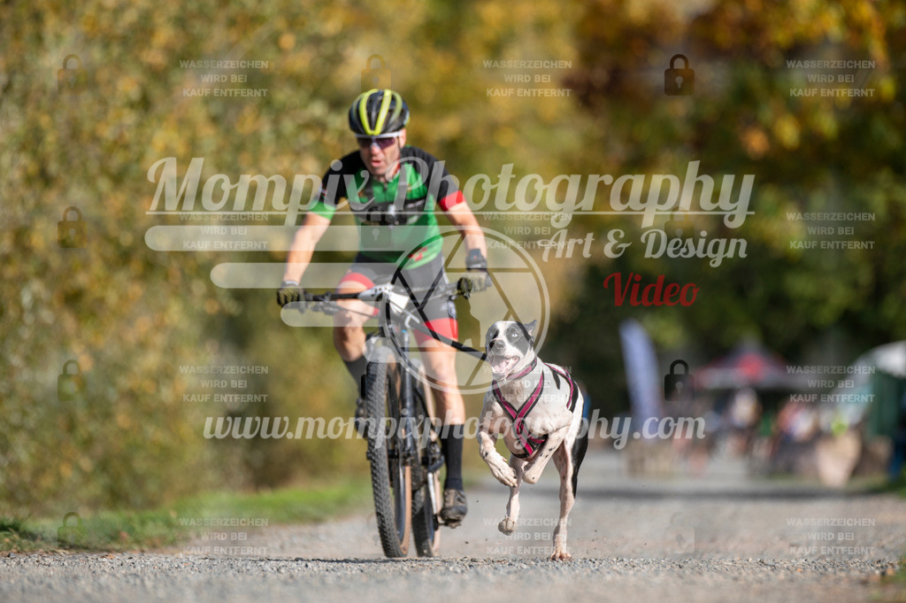 TSB_2023_E2_Bike-31 | PayLife