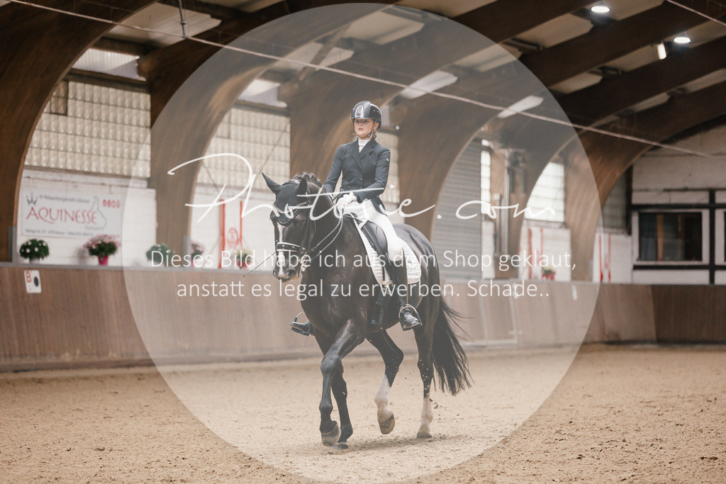 3I6A8810 | Stimmungsvolle Portraits und Reitsportfotografie im Ruhrgebiet und im Münsterland.

Pferdefotografie, Hundefotografie, Tierfotografie, Reportagen, Portraits von Tier und Mensch, Turnierfotografie in Bochum, Recklinghausen, Marl, Haltern am See, Dülmen.. - Realisiert mit Pictrs.com