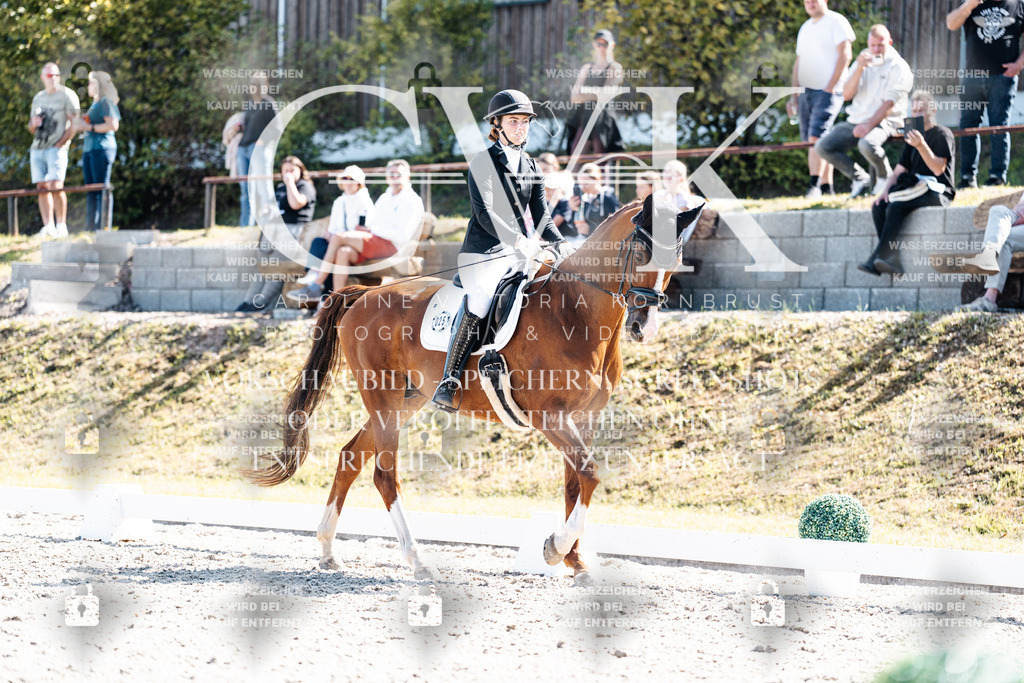 CK909551 | Turnierfotografie Pferdefotografie Trier Rheinland-Pfalz Pferdesport Reitsport Tierfotografie Sportfotografie Pferdevideo Pferdevideografie Equestrianvideography equestrianphotography  - Realisiert mit Pictrs.com
