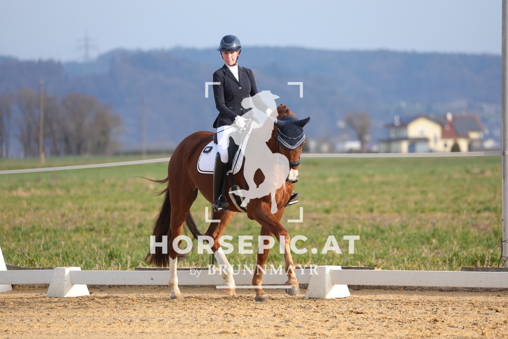 0P6A5948 | Willkommen bei Brunnmayr - Design & Fotografie – Ihrem Spezialisten für Reitturniere und Pferdeveranstaltungen in Oberösterreich, Salzburg und Bayern! Seit über 17 Jahren sind wir leidenschaftlich dabei.