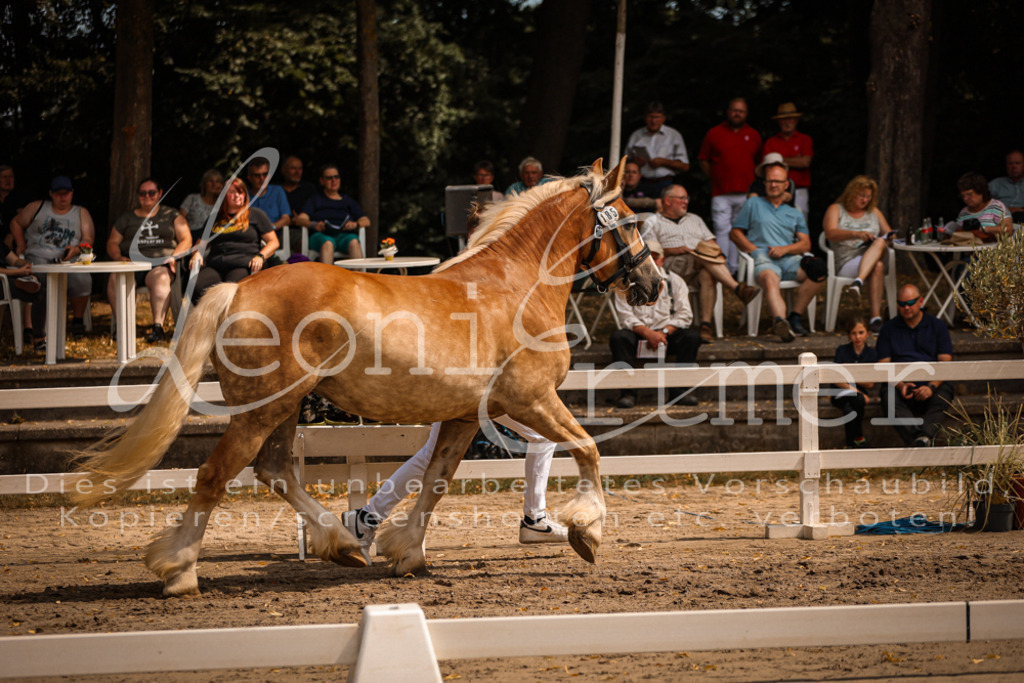 2.Sa00059 | Leoni Ertmer Photography - Realisiert mit Pictrs.com