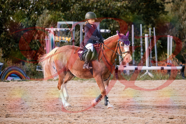 2026_10_03_Siefer-Hof_144324_Z81_16923769 | Professionelle Reitsport-, Turnier- und Eventfotografie von Robert Broda. Galerien mit ausgewählten und bearbeiteten Bildern direkt online ansehen und bestellen.