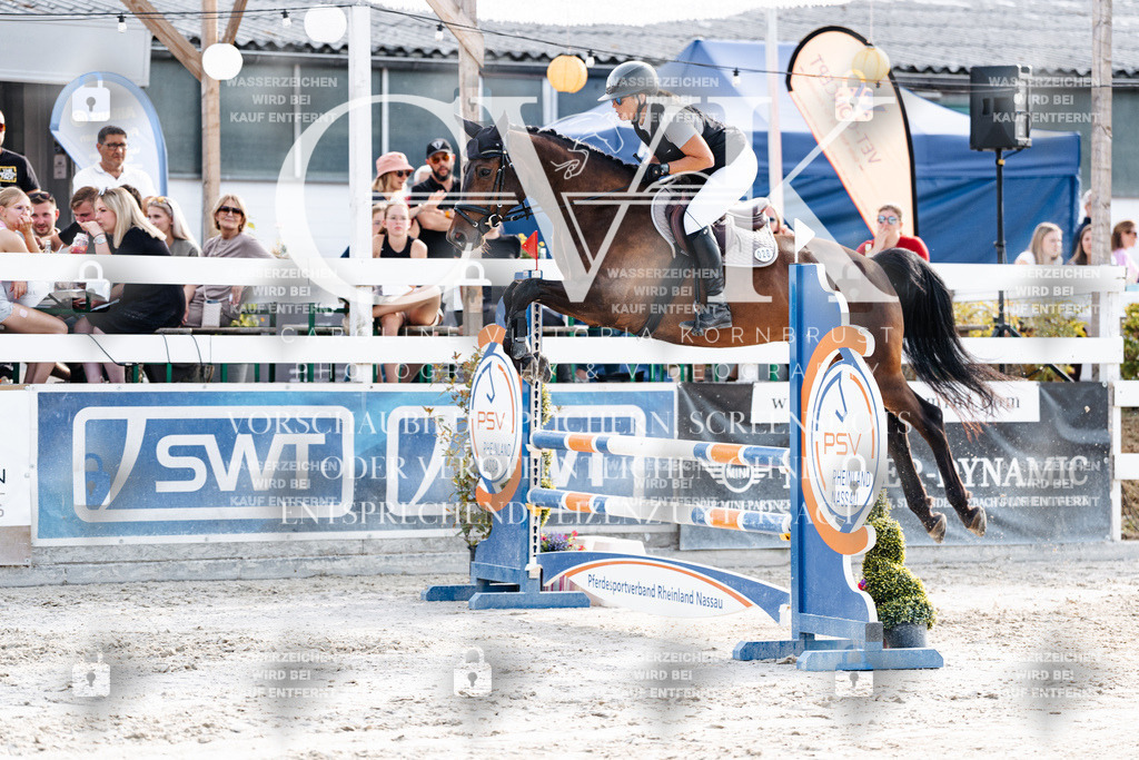CK906306 | Turnierfotografie Pferdefotografie Trier Rheinland-Pfalz Pferdesport Reitsport Tierfotografie Sportfotografie Pferdevideo Pferdevideografie Equestrianvideography equestrianphotography  - Realisiert mit Pictrs.com