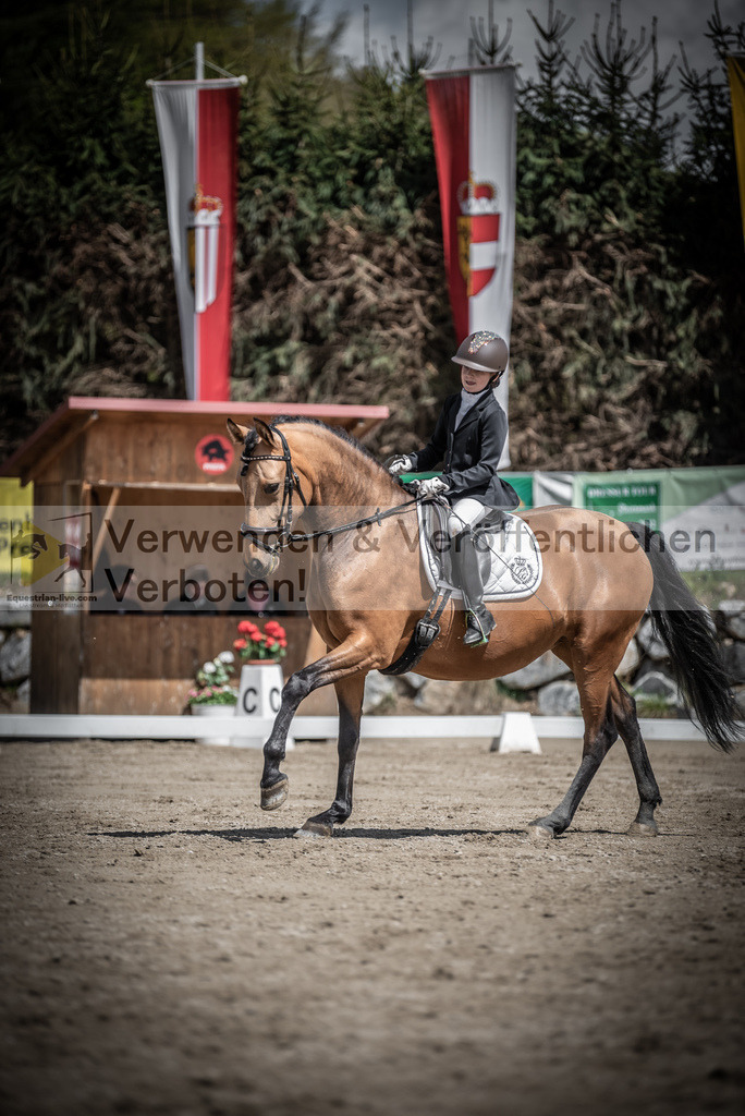 DSC_0839 | equestrian-live-com