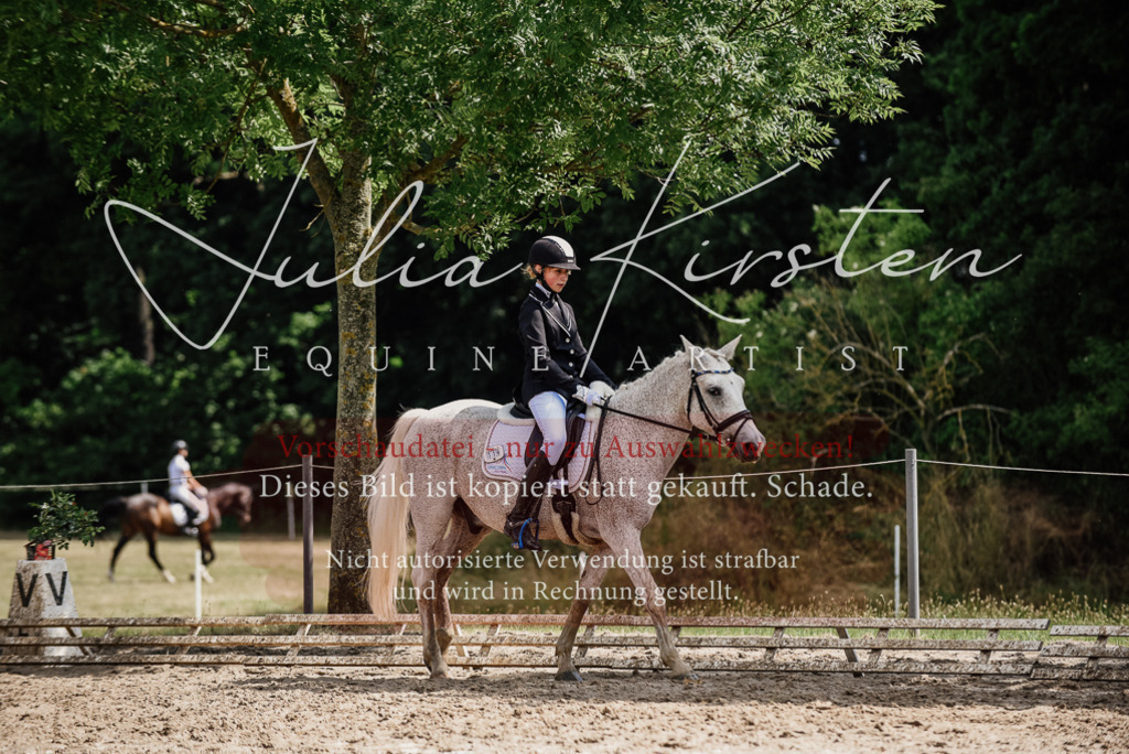 DSC_0528 | Pferde- und Turnierfotografie in Westsachsen. Pferdeportraits, Auftragszeichnungen und intuitive Kunst.
