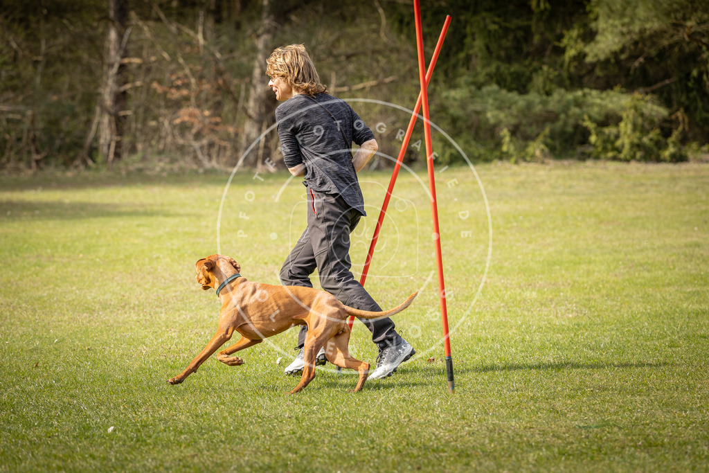 Pfotenfotografie_DV3A9638 | Hundefotografie, Tierfotograf, Pfotenfotografie, Fotoshooting Hund, Hunde Portrait, Hundesport, Hundeportraits, Heideshooting, Hunde, Sportfotograf, Hundefotograf, Turnierhundsport, THS,  - Realisiert mit Pictrs.com