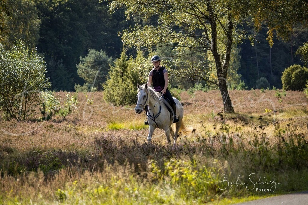 DdLH-WehlenerHeide_2025-09-20_135 | Fotografie, Veranstaltungs-Fotografie, Pferde-Fotografie, Landschafts-Fotografie, Reise-Fotografie - Realisiert mit Pictrs.com