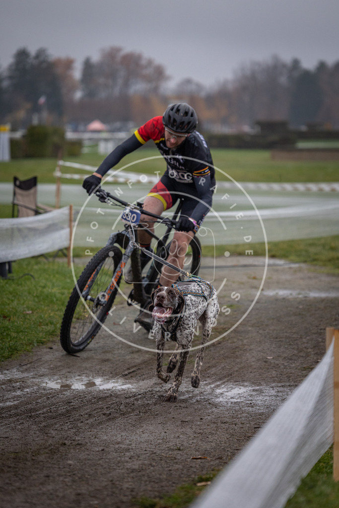 CaniXpix_0L8A1180 | Hundefotografie, Tierfotograf, Pfotenfotografie, Fotoshooting Hund, Hunde Portrait, Hundesport, Hundeportraits, Heideshooting, Hunde, Sportfotograf, Hundefotograf, Turnierhundsport, THS,  - Realisiert mit Pictrs.com