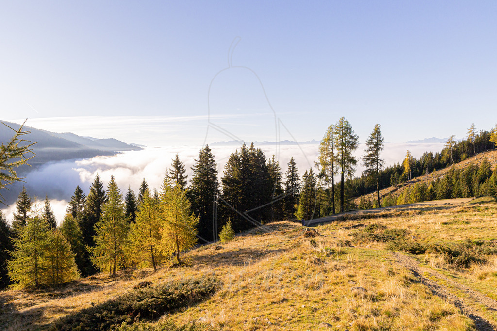 Millstätter Alpe | Ihre Fotografin im Lungau, ihre Fotografin im Mostviertel, Wandbilder Onlineshop, Imagefotos für Ihr Unternehmen,  - Realisiert mit Pictrs.com