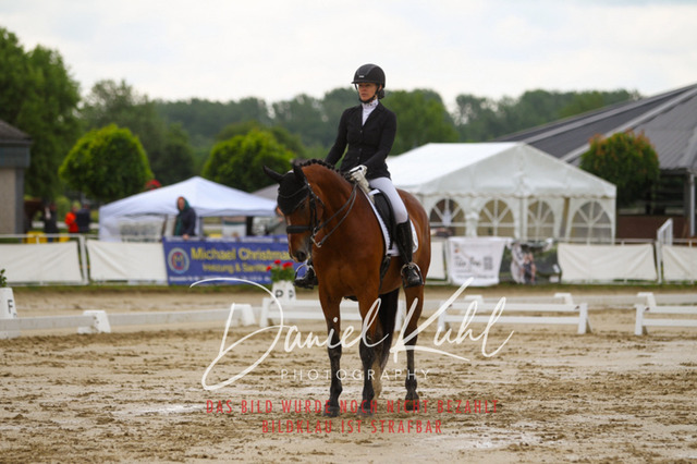 DKP40122 | Turniersportfotografie; Pferdefotografie; Dressurfotografie