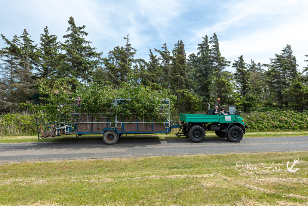 EAF_0858 | Eilun-Art-Fotografie Levke Martens, ihre Fotografin für Immobilien- und Landschaftsfotografie auf Föhr, Föhrer Motive als Poster, Leinwand, hinter Acrylglas oder stelle dir deinen eigenen Monatskalender zusammen, mit nur einem Klick