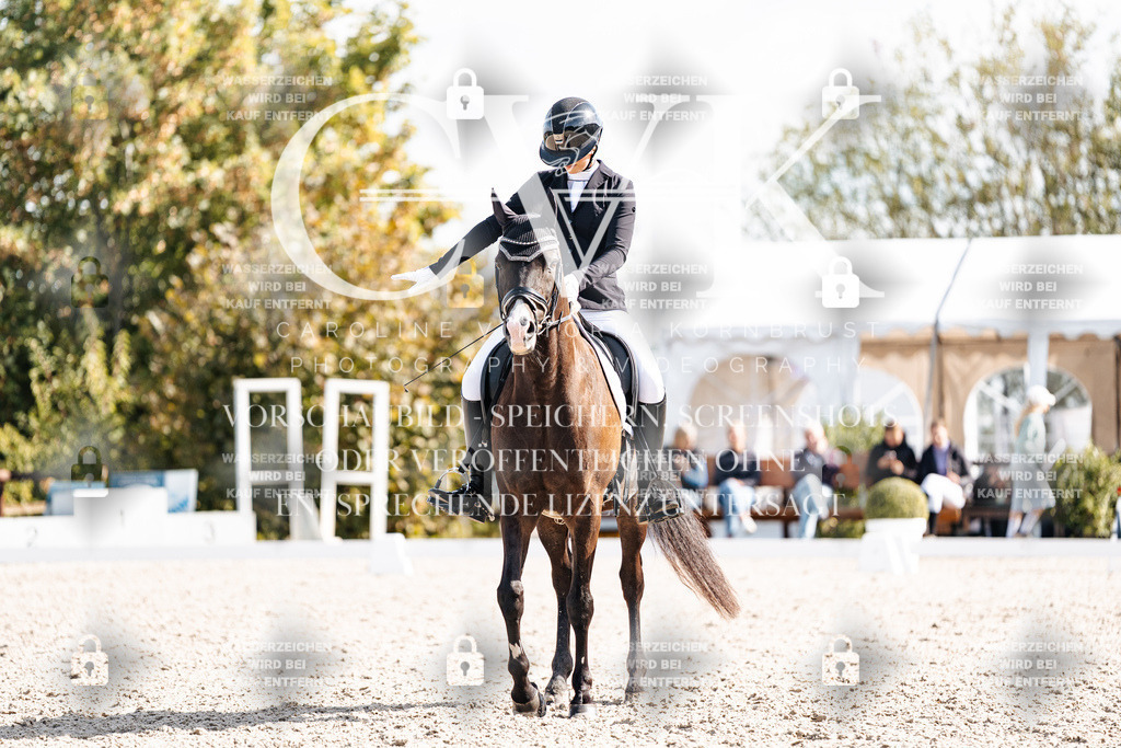 CK902083 | Turnierfotografie Pferdefotografie Trier Rheinland-Pfalz Pferdesport Reitsport Tierfotografie Sportfotografie Pferdevideo Pferdevideografie Equestrianvideography equestrianphotography  - Realisiert mit Pictrs.com