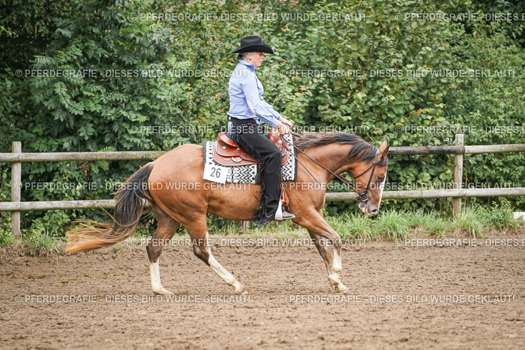 DSC02599 | Pferdegrafie