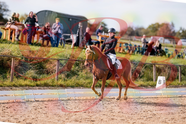 2026_10_03_Siefer-Hof_122308_Z81_23014442 | Professionelle Reitsport-, Turnier- und Eventfotografie von Robert Broda. Galerien mit ausgewählten und bearbeiteten Bildern direkt online ansehen und bestellen.