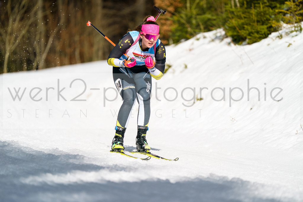 FESA Alpencup / DP Notschrei | Deutschland Pokal Finale im Schwarzwald NORDIC-CENTER Notschrei am 7. - 8. Februar 2026