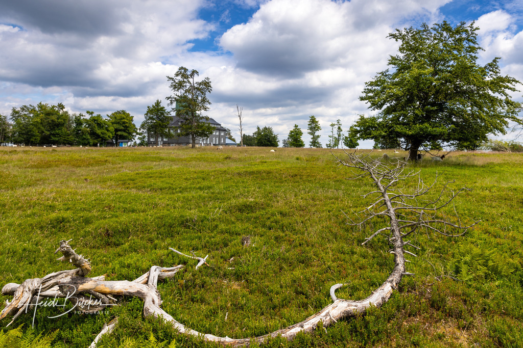 Astenturm mit Restaurant auf dem Kahlen Asten | Astenturm mit Restaurant auf dem Kahlen Asten - Realisiert mit Pictrs.com